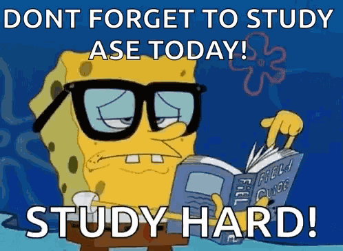 Nerd Sponge Bob GIF