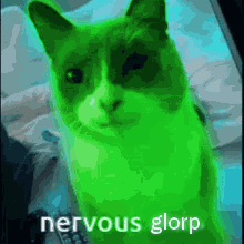 Nervous Glorp Glorp Cat GIF