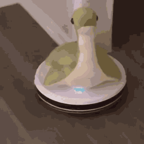 Nessie Roomba GIF