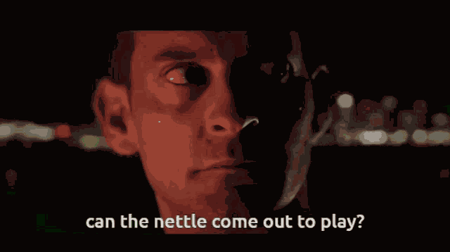 Nettle Nettleflow GIF