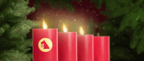 Netto Nettodeutschland GIF