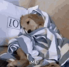 Neverfenty GIF