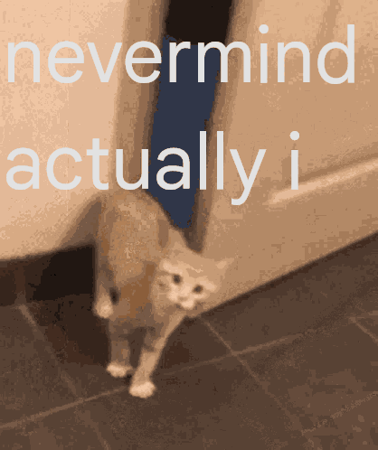 Nevermind Actually I Nevermind Actually I Cat GIF