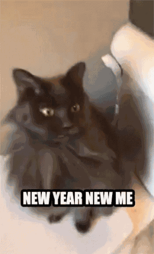 New Year New Me Funny GIF
