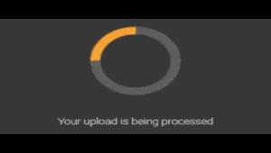 Nexusmods Spinner GIF