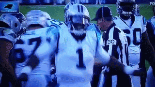 Nfl Cam Newton GIF