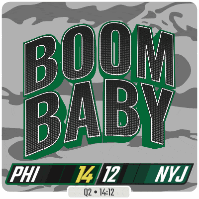 Nfl National Football League GIF