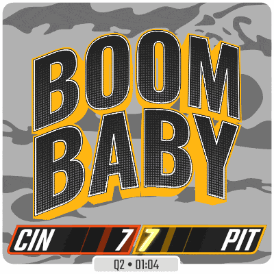 Nfl National Football League GIF