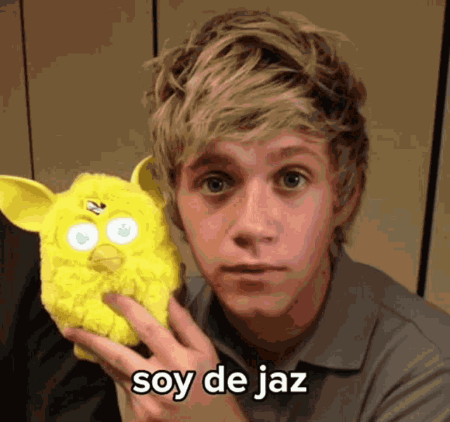 Niall Fetus Niall Horan GIF