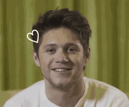 Niall Horan Hot GIF