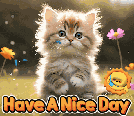 Nice Day Have A Nice Day GIF