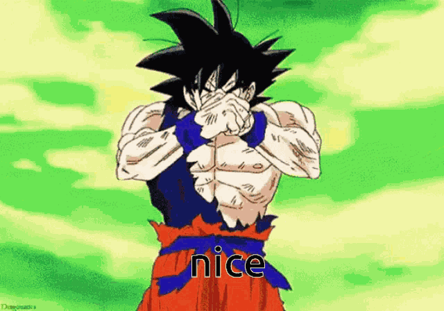 Nice Dragon Ball GIF