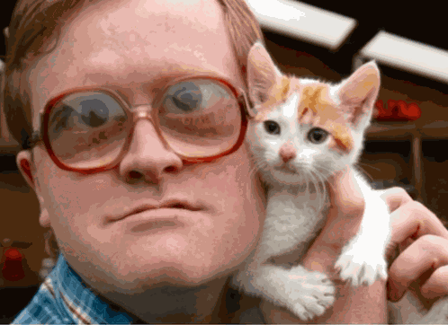 Nice Kitty Trailer Park Boys GIF
