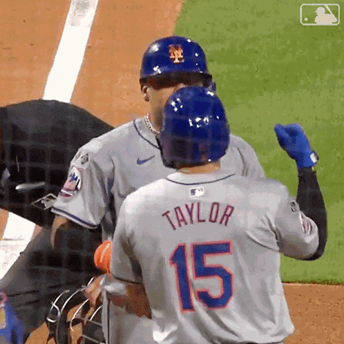 Nice One Bro Major League Baseball GIF