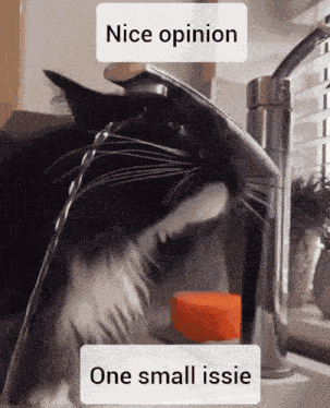 Nice Opinion Small GIF