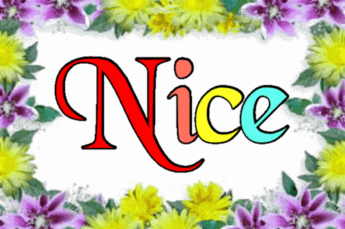 Nice Very Nice GIF
