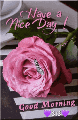 Niceday Goodmorning GIF