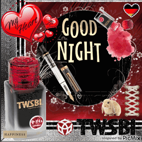 Niche Goodnights Twsbi GIF