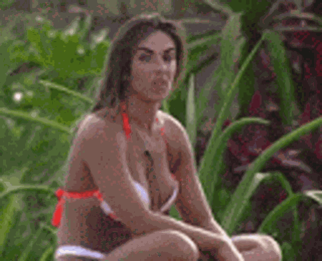 Nicole Bahls Brazilian Model GIF