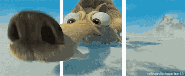 Nieuwsgierig Sniff GIF