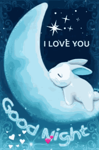 Night Love You GIF