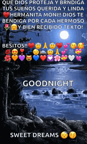 Night Moon GIF