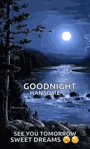 Night Moon GIF