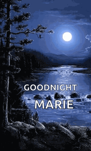 Night Moon GIF