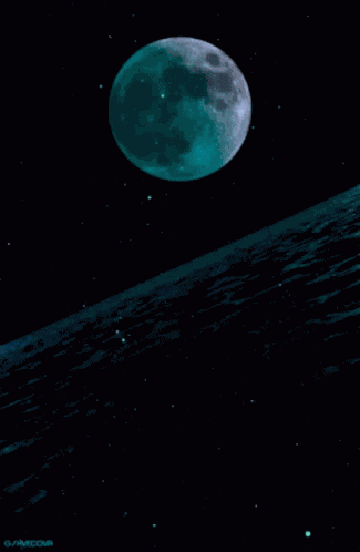 Night Starry Night GIF