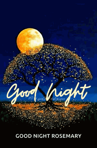 Night Vec50 GIF