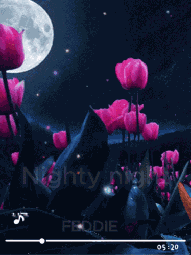 Nighty Night Feddie Good Night Feddie GIF