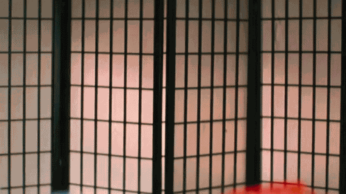 Ninja Funny Ninja GIF