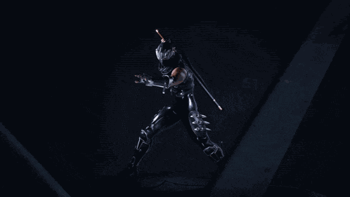 Ninja Gaiden 2 Ninja Gaiden 4 GIF