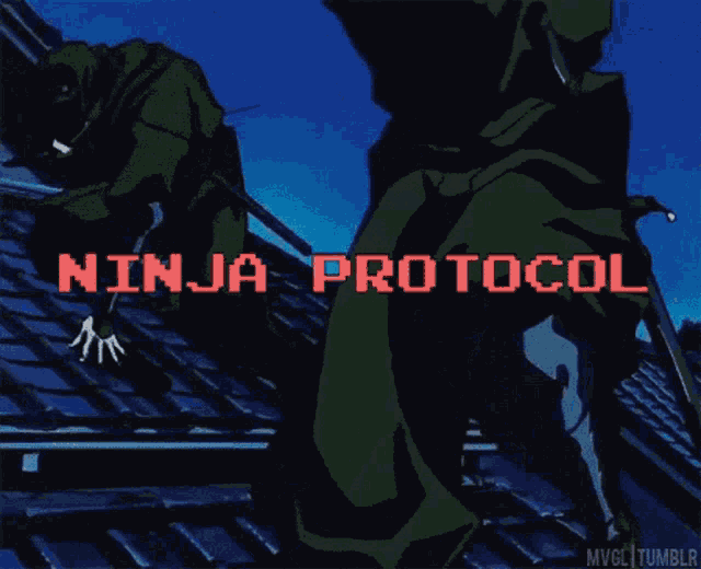 Ninja Ninja Protocol GIF