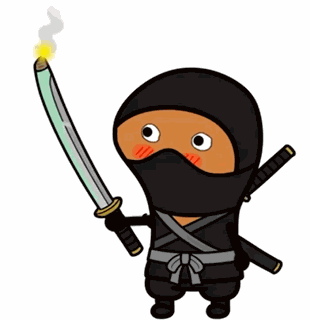 Ninja Stealth GIF