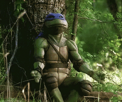 Ninja Turtles Meditate GIF