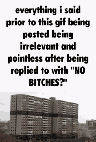 No Bitches Replied GIF