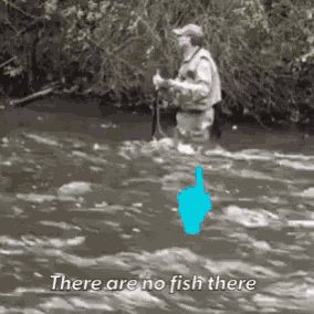 No Fish There Fishing GIF