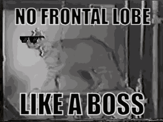 No Frontal Lobe Like A Boss GIF