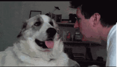 No Hit GIF