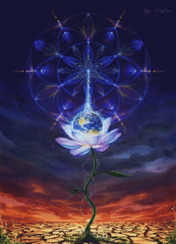 No Mud No Lotus Cosmic GIF