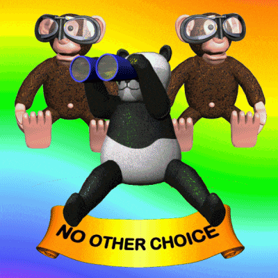 No Other Choice No Other Option GIF