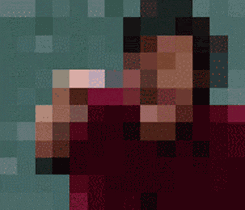 No Pixels Cant See GIF