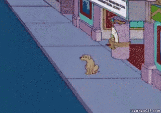 No Te Fíes Del Perro GIF