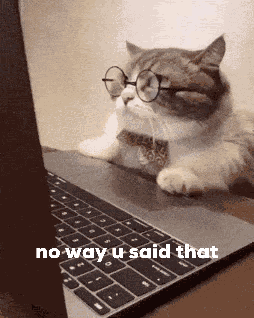 No Way U Said That GIF