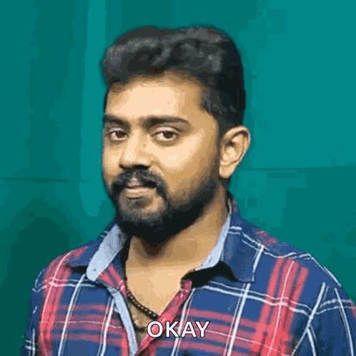 No Yes GIF