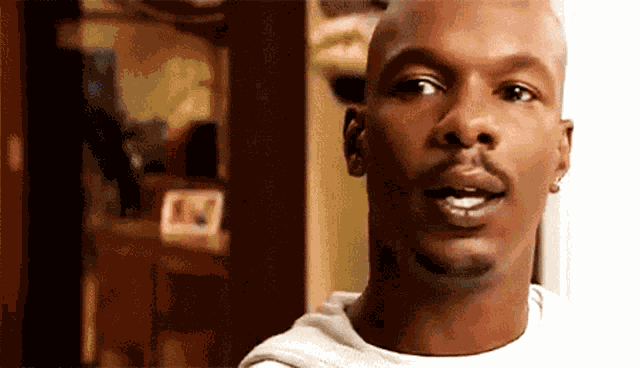 Noahs Arc Excuse Me GIF