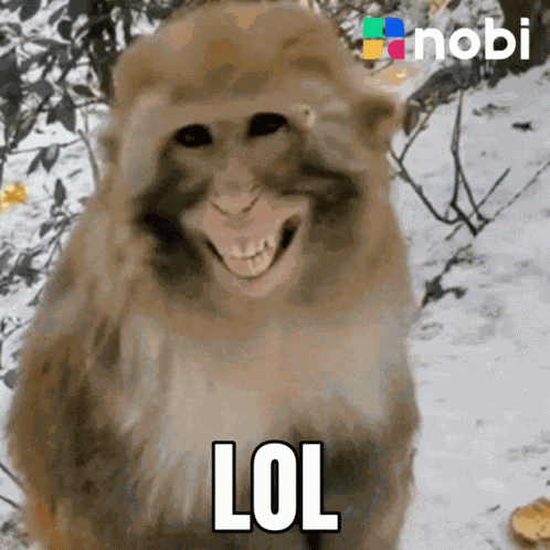Nobi Pintu GIF