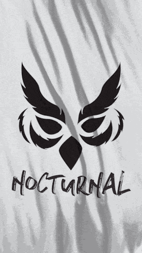 Noc25 GIF