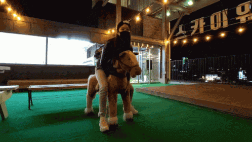 Nohaileeno Horse GIF